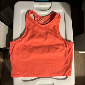 Senita athletic holly crop top